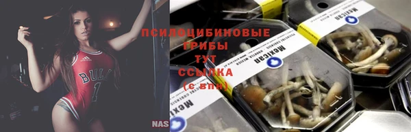 стаф Белоозёрский