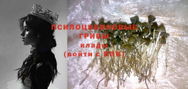 COCAINE Белокуриха