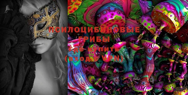 стаф Белоозёрский