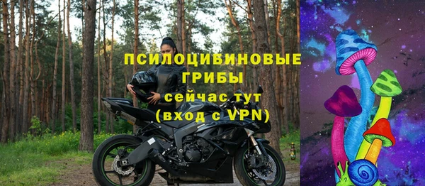 стаф Белоозёрский