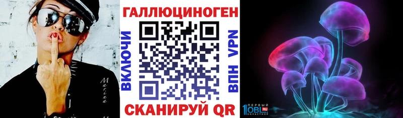 Псилоцибиновые грибы Psilocybe  Дмитров 